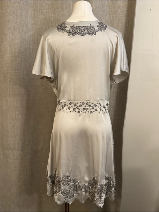 Zara Embroidered Mini Dress Pearl Gray XS Beaded V-Neck - Picture 5 of 15
